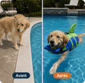 Ploumy™ - Gilet de Sauvetage pour chien