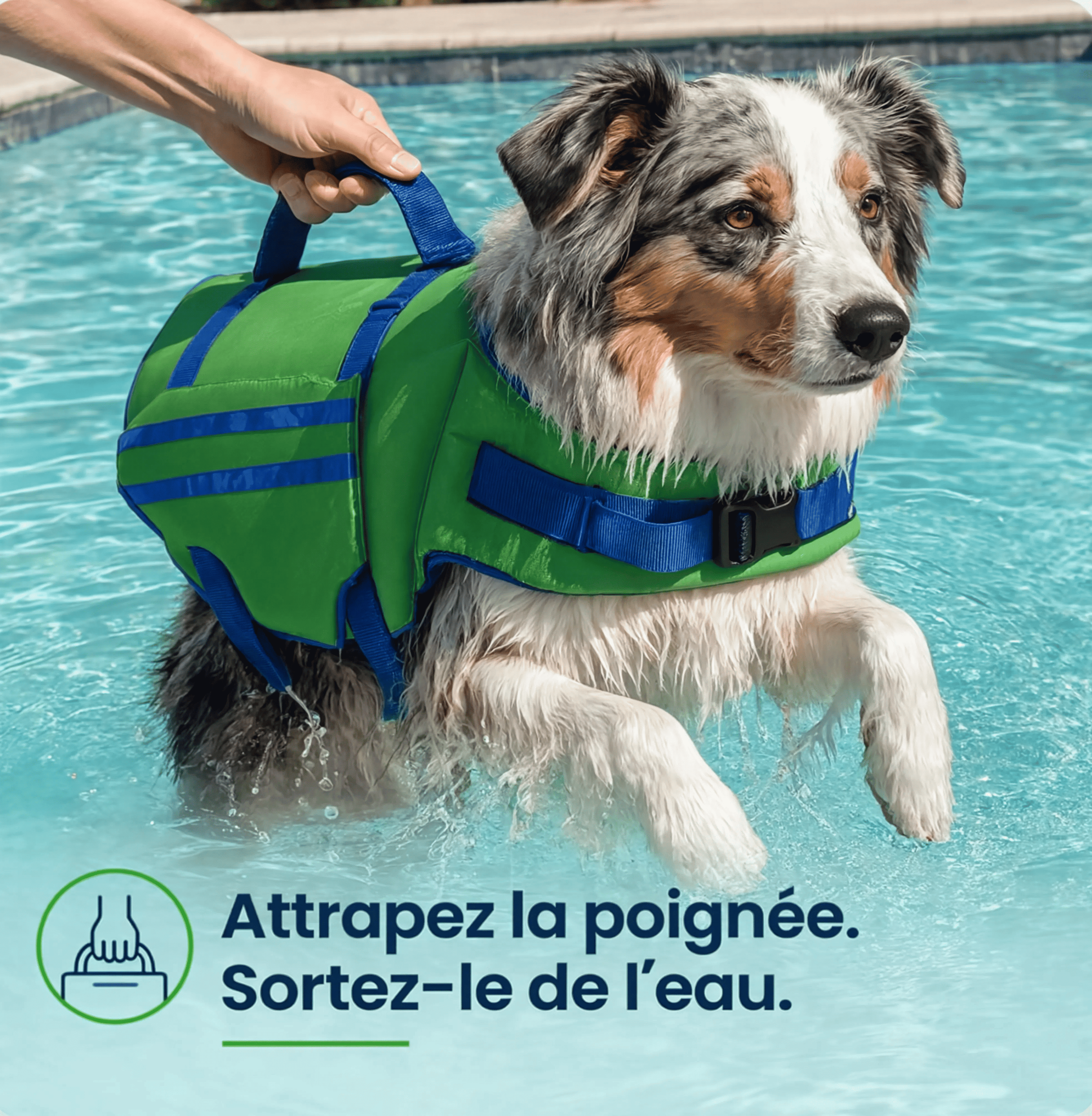 Ploumy™ - Gilet de Sauvetage pour chien