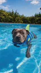 Ploumy™ - Gilet de Sauvetage pour chien